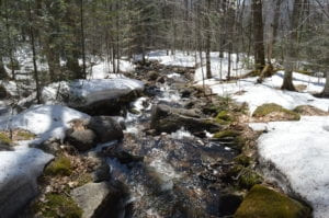 Mont Tremblant National Park path