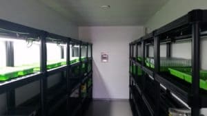 Portable greenhouse in the shipping container. Photo provided by Boks Farms. 