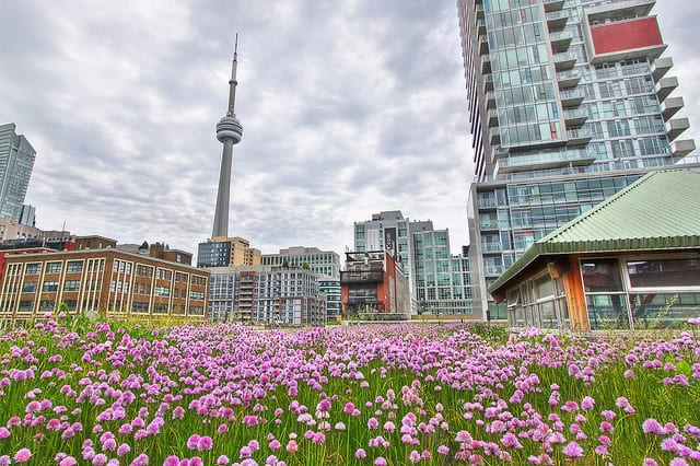 Toronto pushes climate change to back burner