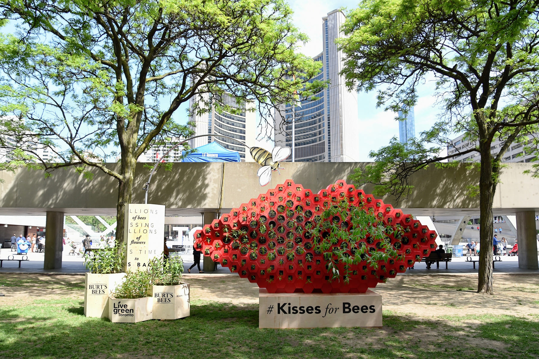 Toronto launches #KissesforBees at city hall