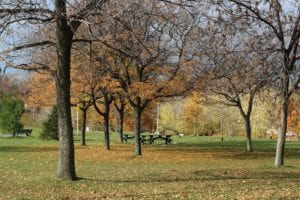 Where are the green parks in Toronto?