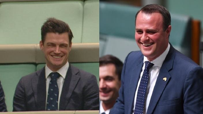 Australian MP proposes to partner on House floor