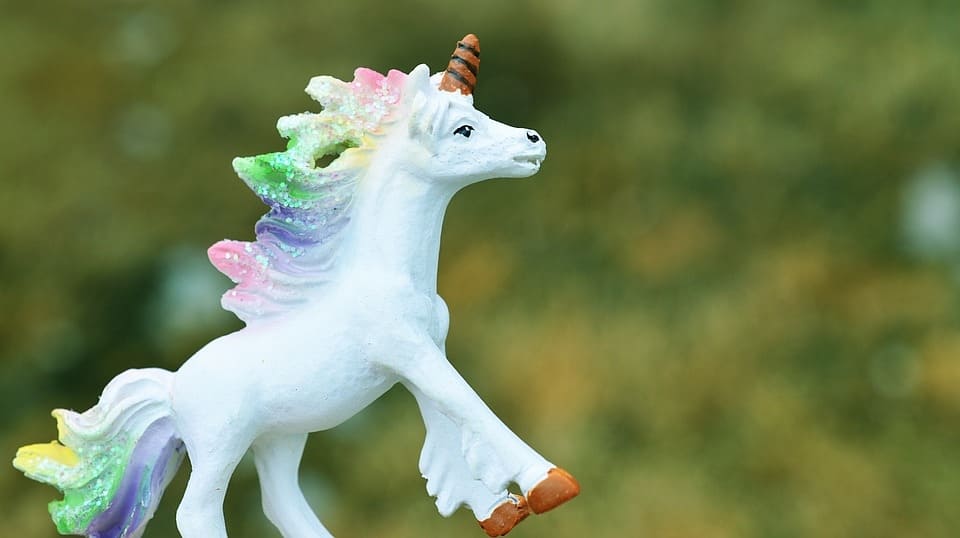 What’s the deal with the unicorn trend?